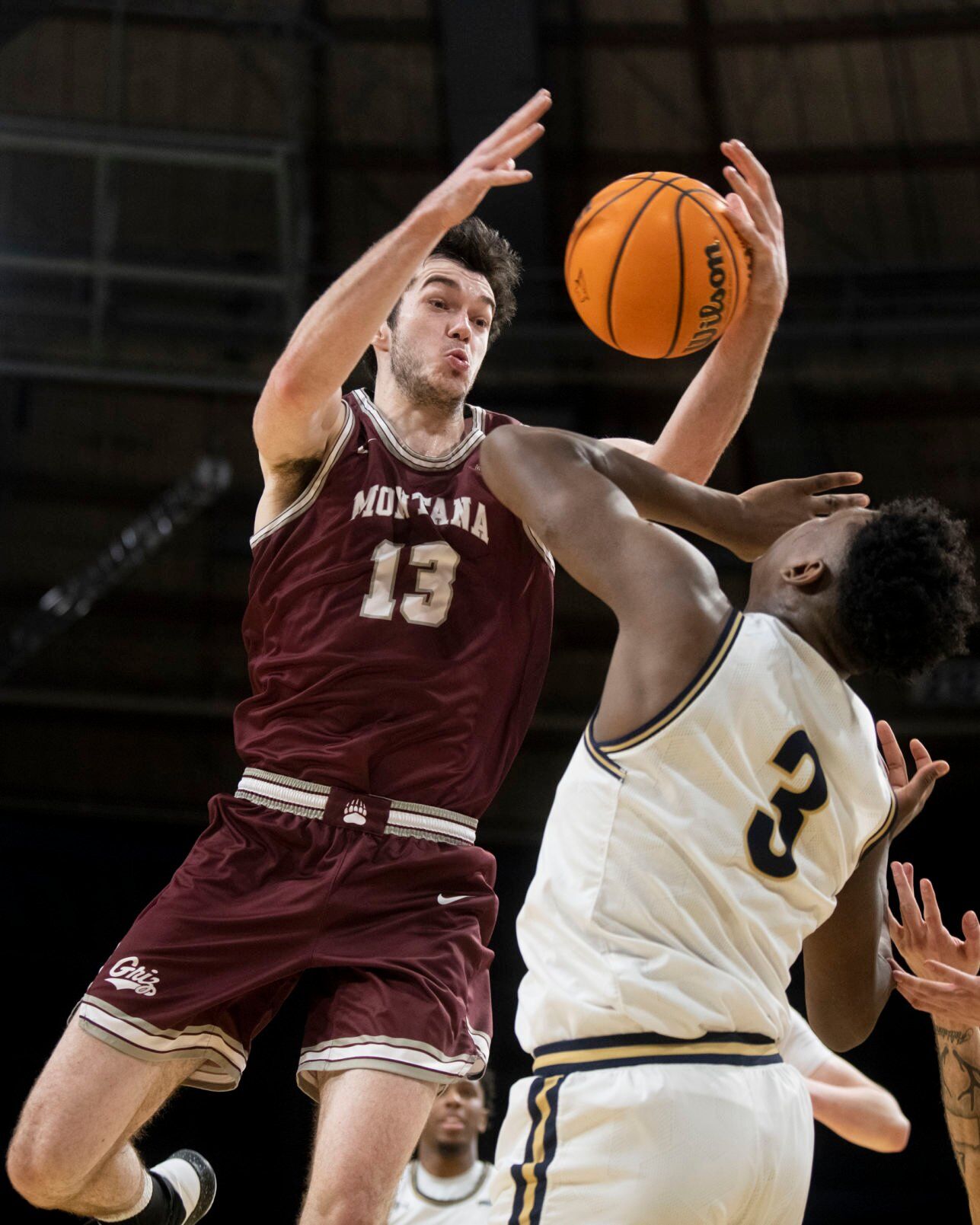 Brawl of the Wild basketball 28.JPG